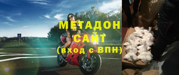 прущие грибы Дмитриев