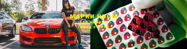 прущие грибы Дмитриев