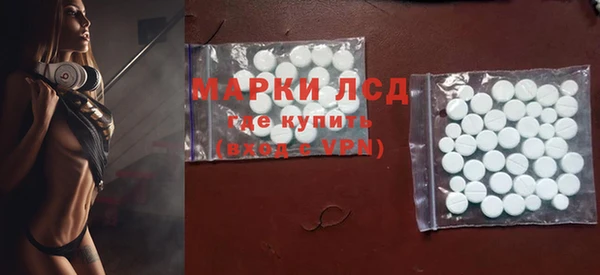 прущие грибы Дмитриев