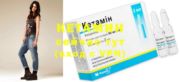 прущие грибы Дмитриев