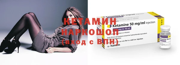 прущие грибы Дмитриев