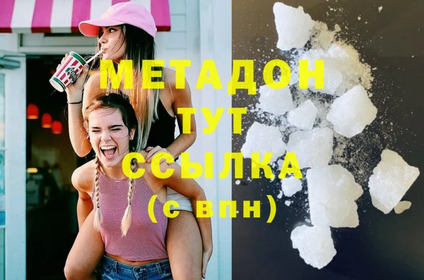 прущие грибы Дмитриев