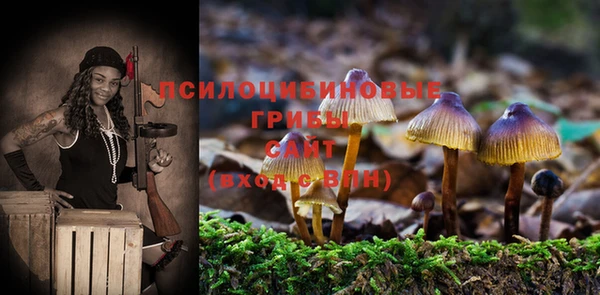 соль курить ск Дмитровск