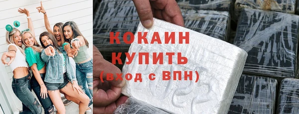 прущие грибы Дмитриев