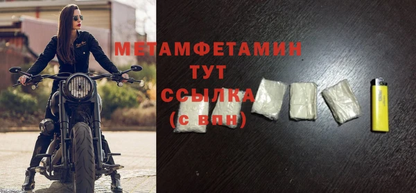 прущие грибы Дмитриев